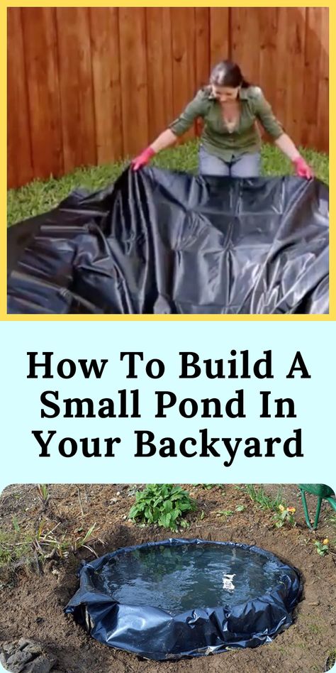 Small Backyard Ponds, Diy Ponds Backyard, Diy Curb Appeal, Building A Pond, Diy Pond, Small Pond, Duck Pond, Fun Summer Activities, Water Pond