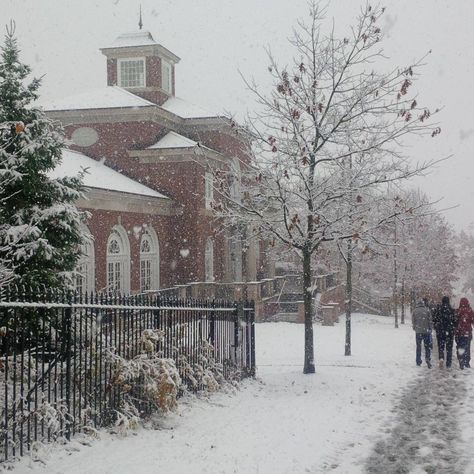 University Of Prince Edward Island, Acadia University Nova Scotia, Dalhousie University Aesthetic, Nova Scotia Aesthetic, Nova Scotia Winter, Acadia University, Uppsala University, University Hall, Dorm Inspo