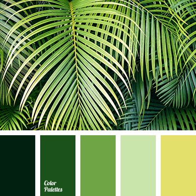 bright lime, color matching for designer, color of palm leaves, color solution for living room decor, dark green color, green shades, light green color, light-lime color, lime color, lime shades, palm color. Yellow Decor Living Room, Wall Living Room, Living Room Decor Colors, Warm Palette, Green Palette, Nature Color Palette, Green Colour Palette, Design Seeds, Tropical Colors