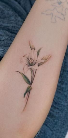 Casablanca Lily Tattoo, Lily Flower Tattoos Color, Casa Blanca Lily Tattoo, Lilly Wrist Tattoo, Daylillies Tattoos, Day Lilies Tattoo, St Joseph Lily Tattoo, Delicate Lily Tattoo, Madonna Lily Tattoo