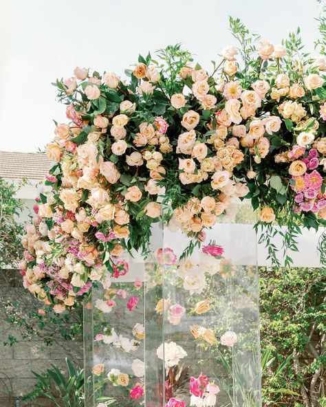 This couple’s “Bollywood glam” backyard wedding juxtaposed a colorful ceremony—complete with pink-hued blooms, floral outfits, and an acrylic mandap—with a glamorous reception and shimmering details. 💗 See more from their celebration, and learn about their hilarious meet-cute at the link in bio. 📷: @lisettegatliff 📋: @roselyneandcoevents 💐: @squarerootdesigns 👗: @rahulmishra_7 @falgunishanepeacockindia 💇‍♀️+💄: @beautybylishma 🎥: @roblesvideo Acrylic Mandap, Glam Backyard, Floral Outfit, Backyard Wedding, Link In Bio, Celebrities, Floral, Pink, Quick Saves