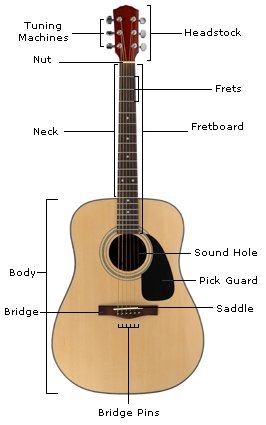 Guitar Anatomy, Bolo Musical, Acoustic Guitar Cake, Classical Guitar Lessons, Guitar Songs For Beginners, Guitar Cake, Guitar Lessons Songs, Guitar Tabs Songs, Guitar Chords For Songs