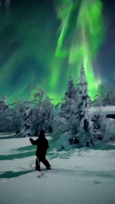 Aurora Finland Northern Lights, Ranua Finland, Aurora Phenomenon, Finland Northern Lights, Northern Aurora, Northern Lights Video, Northern Lights Finland, Unreal Places, Finland Nature