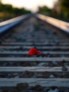 A young man is in love with a girl but he lied about a message he received and she knew & left him. What can he do? Nature Photography Tips, Bokeh Photography, Alone Photography, Photography Tips For Beginners, Photo Background Images, Jolie Photo, Train Tracks, Instagrammer, Image Hd