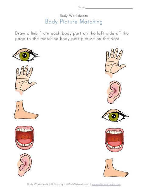 body picture matching worksheet Body Parts Worksheet, Picture Of Body Parts, Body Parts Preschool Activities, Body Parts For Kids, Human Body Worksheets, Nursery Worksheets, Body Preschool, Body Parts Preschool, Matching Worksheets