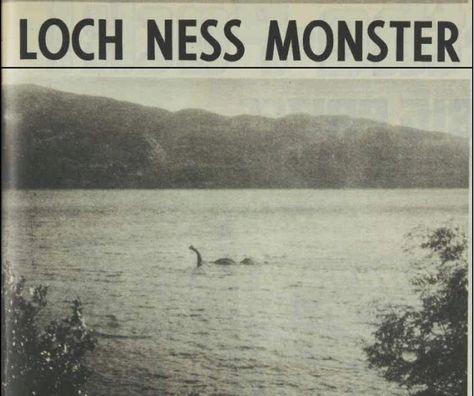 I am currently working on a larger article, but this came in and had " must blog " written all over it. It is a picture taken of something ... Cryptidcore Aesthetic, Paranormal Aesthetic, Loch Ness Monster, Paranormal Investigation, Loch Ness, Ghost Hunting, Urban Legends, X Files, Gravity Falls