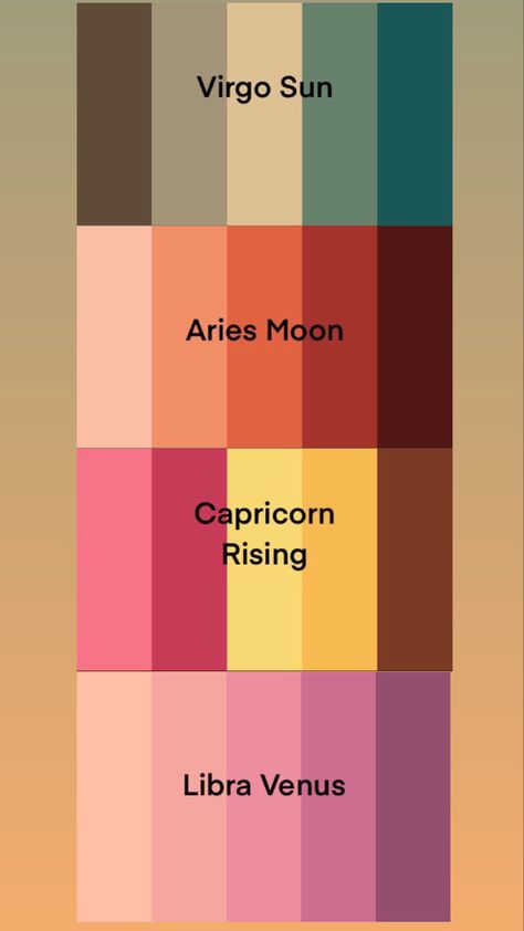 Aries Color Palette, My Birth Chart, Zodiak Aries, Venus Aesthetic, Capricorn Rising, Scorpio And Capricorn, Rising Sign, Aries And Scorpio, Palette Inspiration