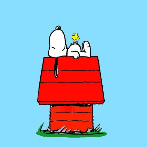 Snoopy Laying On Dog House, Snoopy On House, Snoopy On His Doghouse, Snoopy House, Snoopy Doghouse, Peanuts Cartoon Characters, Snoopy Sleeping, Cinderella Coloring Pages, Paint Table