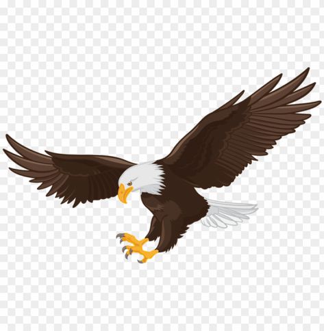 Egal Png Logo, Baaz Png Photo, Panchi Photo Png, King Png Photo, White Line Art Emoji Png, Emoji White Line Png, Baaz Png, Background Png Images For Editing, Eagle Png Logo