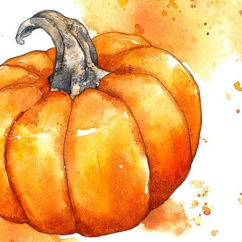 Happy Halloween 🤗🍁🎃🍂 #watercolour #watercolor #illustration #pumpkin #watercolourfood #fallart Pumpkin Tattoo, Spiced Fruit, Pumpkin Illustration, Pumpkin Queen, Watercolor Beginner, Fruit Wine, Watercolor Pumpkins, Fall Watercolor, Pumpkin Art