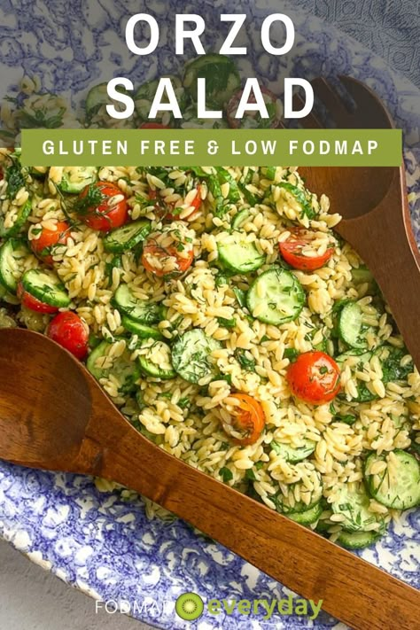 Low FODMAP Orzo Salad might be the perfect summer side-dish. Orzo is rice shaped pasta, typically made from wheat, but in this recipe we are using a low FODMAP gluten-free version. #dairyfree #glutenfree #vegan #vegetarian #easyrecipe #lowfodmapdiet#fodmap #lowfodmap #fodmapeveryday #ibs #ibsdiet #cleaneating #fodmapsafe 30 Day Low Fodmap Meal Plan, Low Fodmap Lunch Box Ideas, Vegetarian Fodmap Recipes, Low Fodmap Potluck Recipes, Low Fodmap Pescatarian Recipes, Low Fodmap Macaroni Salad, Fodmap Lunch Ideas Easy, Low Fodmap Picnic Food, Low Fod Map Breakfast Recipes