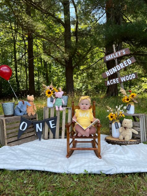 A first birthday photo shoot in the hundred acre wood! 100 Acre Woods 1st Birthday, Pooh One Year Birthday, 1 Hundred Acre Wood Birthday, One Hundred Acre Wood First Birthday, Winnie The Pooh First Birthday Photoshoot, Hundred Acre Wood Birthday Party, Diy Hundred Acre Wood Sign, Hundred Acre Woods Birthday Party, 100 Acre Woods Party First Birthdays