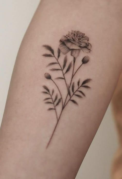 Marigold Arm Tattoo, Fine Line Marigold Tattoo, Marigold And Daisy Tattoo, Marigold Flower Tattoos, French Marigold Tattoo, Marigolds Tattoo, Black Marigold Tattoo, Single Line Marigold Tattoo, Marigold Fine Line Tattoo