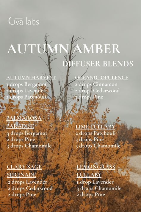 Embrace the cozy vibes of fall with our Autumn Amber diffuser blend - a warm and inviting scent to enhance your autumnal ambiance. . Shop now: https://amzn.to/3UYnyIM . #GyaLabs #UpliftYourEveryday #essentialoils #spring #april #springseason #aries #amazing #soulwisdom #aprilvibes #spring #springvibes #abundance #abundancemindset #miracles #blessings #prosperity #888 #angelnumbers #inspo #reels #reelsinstagram #grwm #inspiration #NaturalCare #HealthyLiving #EssentialOils #woman #skincareroutine Amber Diffuser Blends, Amber Essential Oil Blends, Amber Essential Oil, Essential Oil Roller Bottle Recipes, Doterra Diffuser Blends, Essential Oil Combinations, Essential Oils Collection, Essential Oils For Pain, Essential Oil Diffuser Blends Recipes