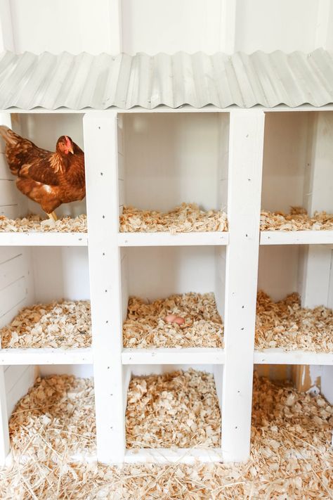 Cute Chicken Coops, Chicken Shed, Chicken Barn, Duck Coop, Chicken Coop Garden, Backyard Chicken Coop Plans, Chicken Nesting Boxes, Backyard Chicken Coop, Diy Chicken Coop Plans