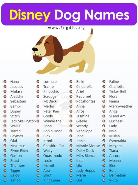 From Lady and the Tramp’s sweet and loving Lady to Bolt’s heroic super-dog vibes – iconic Disney characters provide the ultimate source of pet naming material! Below is a round-up of magical Disney dog names that will make your pup feel as unique as Cinderella herself. So, if you’re struggling with name ideas or just want to bring some classic joy into your home, read on for our list full of adorable options! Disney Dog Names Looking for a name that’s straight out o Disney Character Names List, Marvel Dog Names, Disney Inspired Names, Dog Names Disney, Disney Dog Names, Disney Pet Names, Dog Symbolism, Rpg Names, Disney Character Names