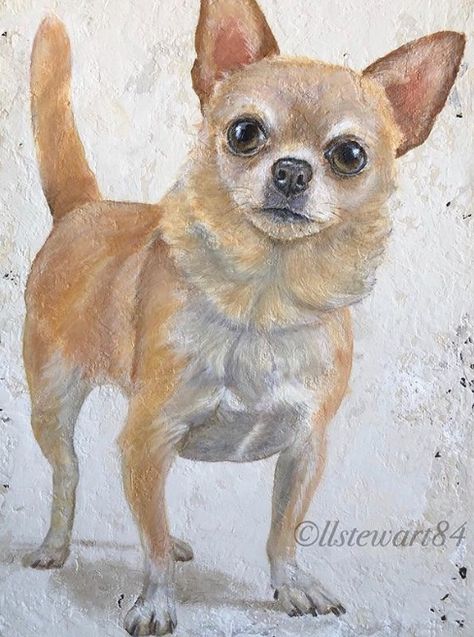 Chihuahua Art Painting, Chiweenie Drawing, Chihuahua Drawings, Chihuahua Painting, Chihuahua Drawing, Pomeranian Chihuahua Mix, Chihuahua Art, Painted Rock Animals, Woodland Critters