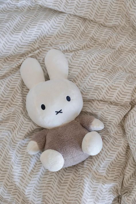 Miffy Soft Toy, Miffy Aesthetic, Miffy Bunny, Cute Squishies, Cute Plushies, Big Hug, Cute Animals Images, Cuddly Toy, Cute Stuffed Animals