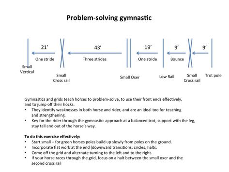 Teaching a horse to jump: From cross-rails to stone walls & more – Equestrian Services Jumping Courses, Equestrian Training, Horse Jumping Exercises, Jumping Exercises, Pony Play, Dressage Exercises, Horse Training Exercises, Horse Lessons, Dressage Training