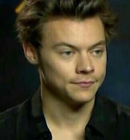 Harry Styles Face, Harold Styles, Harry Styles Memes, Response Memes, 1d Funny, Harry Styles Funny, In Memes, Reaction Face, One Direction Harry