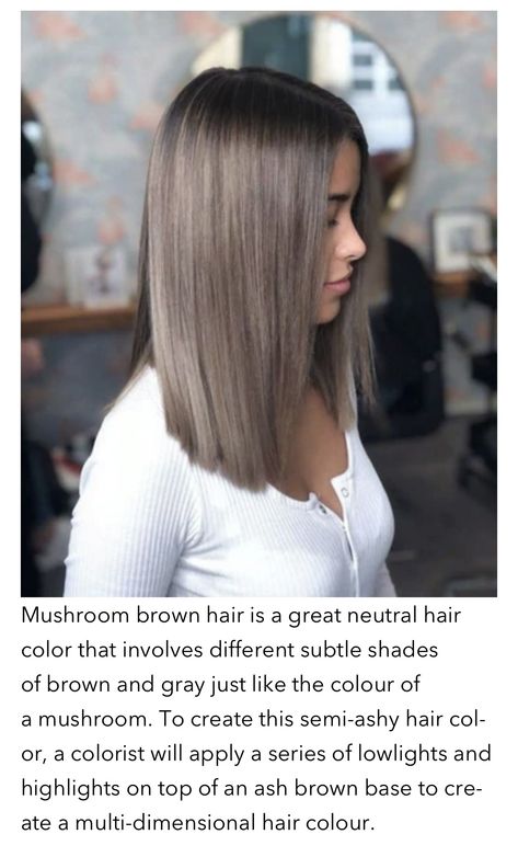 Long Bob Ash Brown, Short Hair Ash Brown, Ash Brown Lob, Ashy Hair Color, Brown Hair Long Bob, Cool Tone Brown Hair, Long Brown Bob, Ashy Brown Hair, Hair Glaze