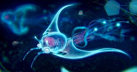 Glowing Fish, Alien Fish, Sea Pictures, Deep Sea Creatures, Digital Art Gallery, Underwater Creatures, Alien Concept Art, Alien Creatures, Deep Sea Fishing