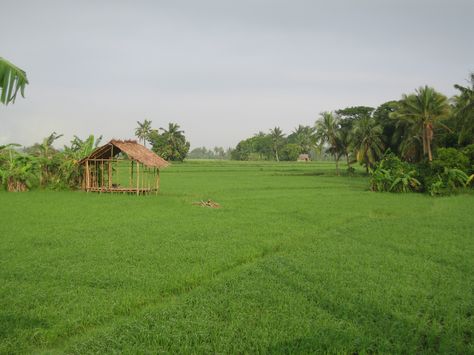 Farms in Naic Cavite ~ Cavite, Philippines ~ October 2009 Cavite Philippines, Bacolod, Future Farms, Open Field, Cool Places To Visit, Places Ive Been, The Good Place, Philippines, Vision Board