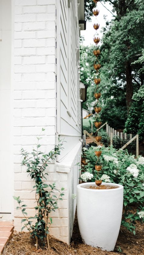 Backyard Progress — Lesley W Graham Rain Chain Into Planter, Rain Chain Barrel, Rain Chain Ideas Landscapes, Rain Chain And Barrel, Copper Rain Chain Ideas, Rain Chain With Rain Barrel, Rainchain Ideas Gardens, Rain Chain To Rain Barrel, Rain Chain Into Rain Barrel