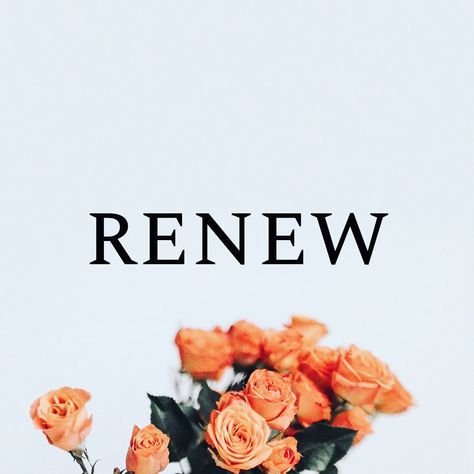 Renew Word Of The Year, Renewed Mind Quotes, Renew Quotes, Romans 12:2, Mindfulness Board, Renewal Quotes, Beautiful Flower Quotes, Stronger Relationship, Renew Your Mind