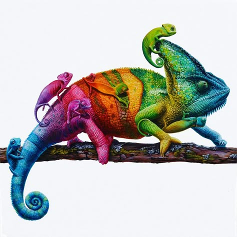 Cameleon Art, Chameleon Tattoo, Badass Drawings, Chameleon Art, Photo Clipart, All About Animals, Rainbow Art, Color Pencil Art, Animal Paintings