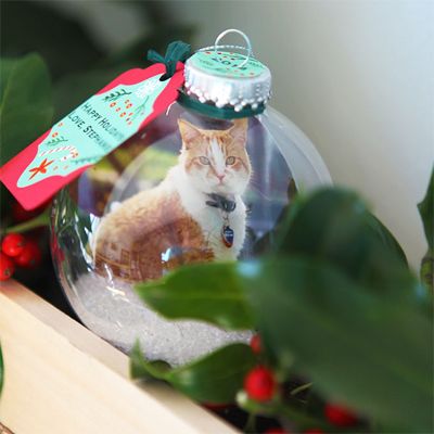 DIY Cat Ornaments You Can Make This Christmas! – Meow As Fluff Cat Diy Ornament, Cat Ornaments Diy Homemade Christmas, Diy Cat Ornaments Christmas, Diy Cat Ornaments, Cat Ornaments Diy, Diy Photo Ornaments, Diy Cat Food, Homemade Christmas Ornaments Diy, Christmas Tree Bulbs