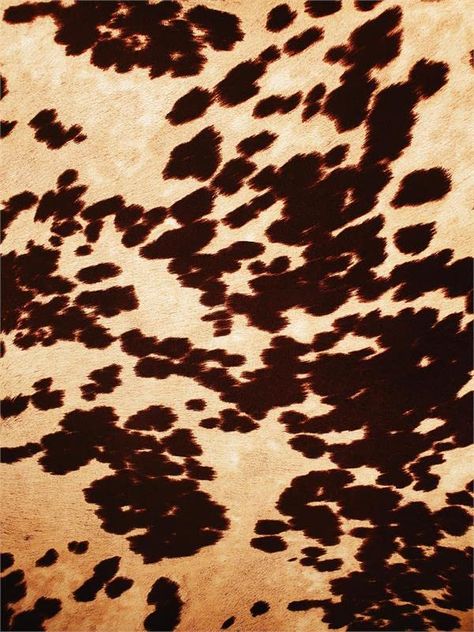 RusticDesignsKY's Amazon Page Western Fabrics, Simple Symbols, Cow Print Fabric, Velvet Art, Cowhide Fabric, Senior Thesis, Fabric Empire, Duck Cloth, Hair Cover