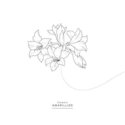 Flowers ⚘ Amarillide ⚘ Amaryllis ⚘ Amaryllis Flowers Tattoo, Amaryllis Tattoo Design, Amaryllis Flower Drawing, Amaryllis Flower Tattoo, Amaryllis Drawing, Amaryllis Tattoo, Side Tattoos Women, Stick Tattoo, Red Amaryllis