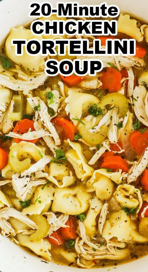 Chicken tortellini soup is so easy and satisfying using tortellini cheese pasta and shredded chicken. It can be on the table in 20 minutes! Ww Chicken Tortellini Soup, Chicken Tortini Soup, Shredded Chicken And Tortellini, Chicken Tortellini Recipes Soup, Easy Chicken Tortellini Recipes, Simple Tortellini Recipes, Chicken Tortilini Soup, Cheese Tortellini Recipes Crockpot, Chicken Tortillini Soup