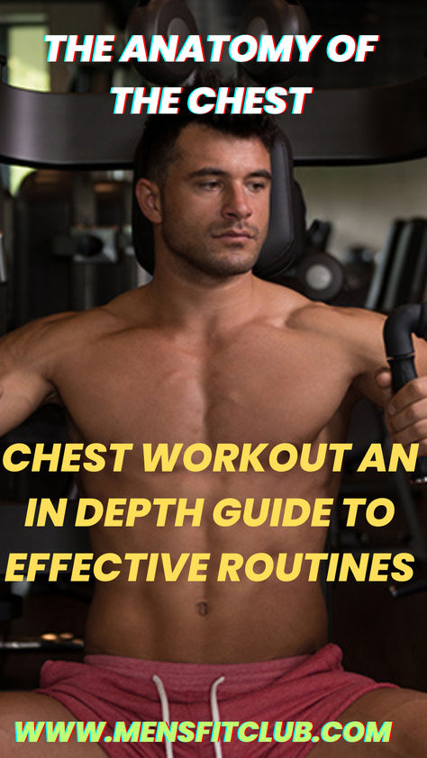 Illustration of a chest workout routine showcasing exercises like bench press, push-ups, dumbbell flyes, and incline press. The routine targets the chest muscles to build strength and definition. Ideal for individuals looking to enhance upper body strength and develop a well-defined chest. Women Chest Workout, Chest Workout Gym, Workout For Men At Home, At Home Chest Workout, Chest Workout For Women, Home Chest Workout, Gym Chest Workout, Dumbbell Chest Workout, Chest Workout Women