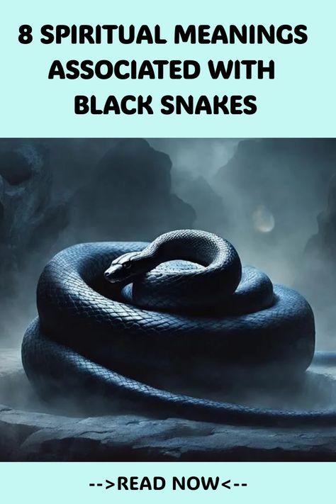 Black Snake Spiritual Meaning, Snake Spiritual Meaning, Adder Snake, Snake Meaning, Snake Symbolism, Snake Spirit Animal, King Cobra Snake, Kinds Of Snakes, Spirit Animal Meaning