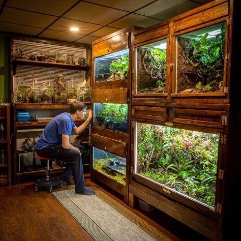 Reptile Room Ideas, Wall Terrarium, Animal Enclosures, Fish Room, Fish Tank Terrarium, Pet Room, Enclosure Ideas, Reptile Room, Fishing Room