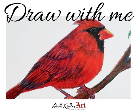 Learn how to draw a cardinal with crayola colored pencils. For years I dismissed colored pencils, they seemed so basic, so unimpressive.  After discovering what can be done with colored pencils in 2019 it changed my perspective. I was wrong.  Did you know there are “tricks” that can be done with these basic colored pencils we’re all used to seeing?  Things that involve rubbing alcohol… Draw A Cardinal, Tips On Drawing, Cardinal Drawing, Cardinal Birds Art, Bird Painting Acrylic, Cardinal Painting, Pencil Inspiration, Crayola Colored Pencils, Colored Pencil Tutorial