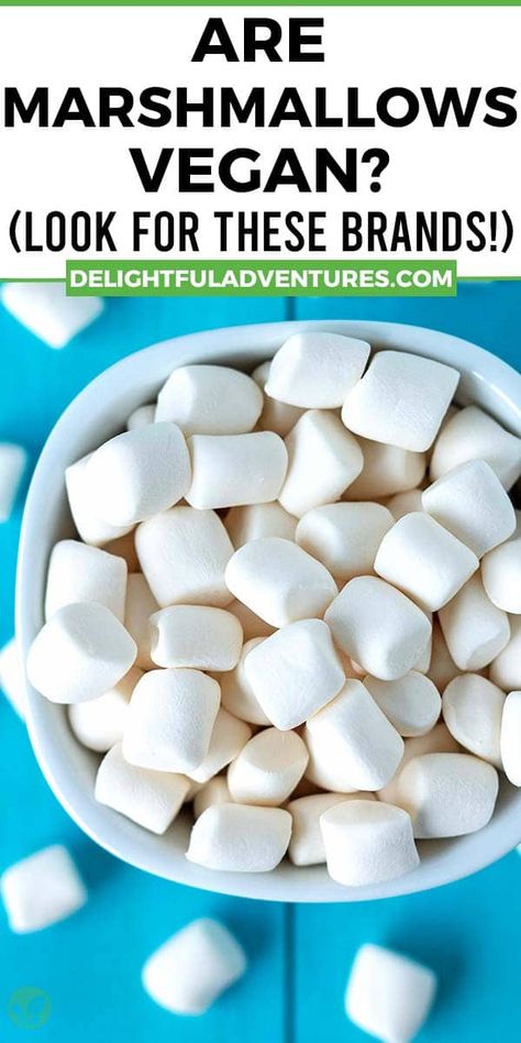 Are marshmallows vegan? Most brands are not, but this article includes a list of vegan brands to look for, plus other helpful info you need to know so you can understand ingredient lists and feel confident buying vegan marshmallows. How To Make Vegan Marshmallows, Vegan Marshmallow Recipe, Vegan Marshmallow Fluff, Vegan Sweets Recipes, Vegetarian Marshmallows, Homemade Marshmallow Recipe, Alpha Gal, Vegan Marshmallows, Vegan Breakfast Easy