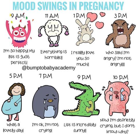 Mood Swings During Pregnancy, Mood Swing Quotes, Pregnancy Mood Swings, Mommy Things, Natural Pregnancy, Mom Life Quotes, Family Ideas, Baby Care Tips, Trimesters Of Pregnancy