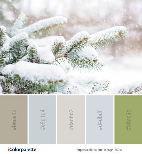 Color Palette ideas from 693 Winter Images | iColorpalette Winter Color Palette With Hex Codes, Winter Colours, Winter Palette, Cottage Color Palette, Soothing Paint Colors, Winter Color Palette, Hex Color Codes, Tree Images, Find Color