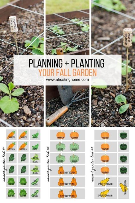 Planning and Planting Our Fall Garden / ahostinghome.com // fall garden, fall gardening, fall garden flowers, fall garden vegetables, fall garden ideas, fall garden georgia, fall garden texas, fall garden landscape, fall garden in the south, fall garden zone 7, fall garden september, fall garden bed, fall garden raised bed, fall garden layout, fall garden design, fall garden tips, fall garden preparation, fall garden inspiration, fall garden for beginners, fall garden planting Fall Garden Preparation, Fall Garden Planting, Georgia Fall, Garden Preparation, Home Planning, September Fall, Fall Gardening, Backyard Garden Layout, Garden Layout Vegetable