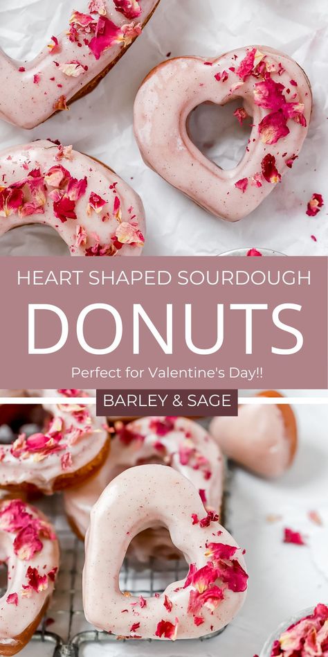 I've been going a little crazy with all the heart shaped Valentine's Day desserts this year. These heart shaped sourdough donuts are light and airy and made with a combination of sourdough starter and instant yeast. They are deep fried to perfection and then dunked in the most amazing strawberry flavored glaze! Valentine Doughnut Ideas, Heart Shaped Donuts Recipe, Sourdough Valentines Treats, Heart Shaped Sourdough, Donuts In Silicone Mold Recipe, Valentines Sourdough Recipes, Sourdough Valentines, Sourdough Valentines Day, Valentines Sourdough