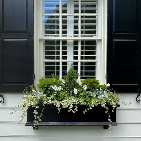 Window box ideas to boost your home's curb appeal | Livingetc Evergreen Planters, Window Box Ideas, Window Baskets, Window Box Plants, Spring Planter, Window Plants, Window Box Flowers, Window Planters, Spring Window