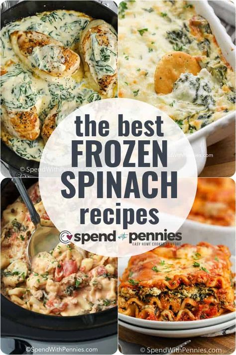 These are our favorite frozen spinach recipes! They are a great way to use spinach (fresh or frozen) for quick dinners, dips and more! Spinach Recipes Side, Frozen Spinach Recipes, Spinach Dinner Recipes, The Best Spinach Artichoke Dip, Easy Spinach Lasagna, Spinach Pasta Sauce, Frozen Vegetable Recipes, Harvest Meals, Spinach Side Dish