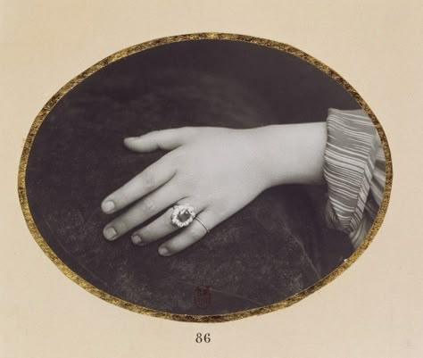 Hand. unknown artist, 1860s. found on Tumblr. Beating Heart, Edwardian Era, Memento Mori, Vintage Photographs, Vintage Photos, Beautiful Art, Art Reference, Photographer, Ring