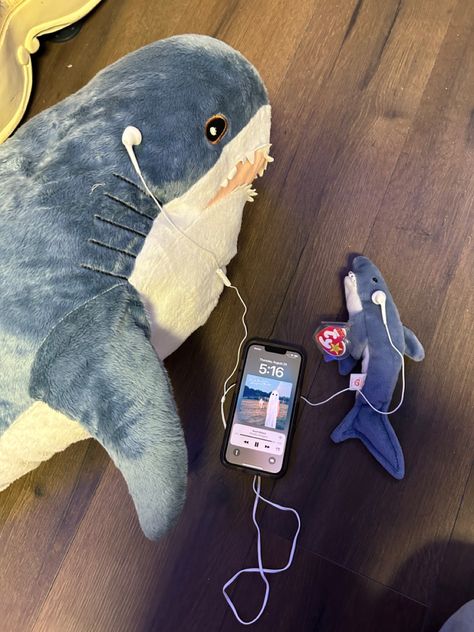 Scott street 
Sharks 
BLÅHAJ
Phoebe Bridgers 
Stranger in the alps
Music Shark With Headphones, Cute Shark Things, Cute Shark Stuff, Matching Shark Pfps, Shark Matching Pfp, Ikea Shark Plush, Blahaj Shark, Sharks Cute, Stuffed Shark