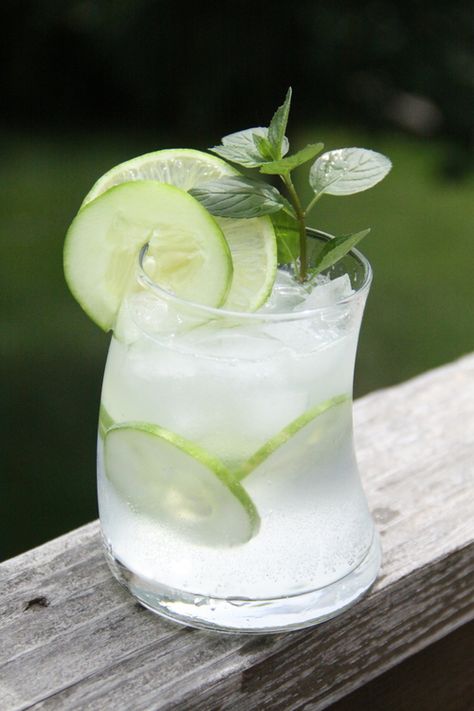 Best Ever Gin and Tonic (Mint-Basil, and Cucumber) — Dan330 Vodka Tonic, Tonic Recipe, Gin Recipes, Gin Drinks, Cucumber Recipes, Fancy Drinks, Think Food, Gin Cocktails, Gin Tonic