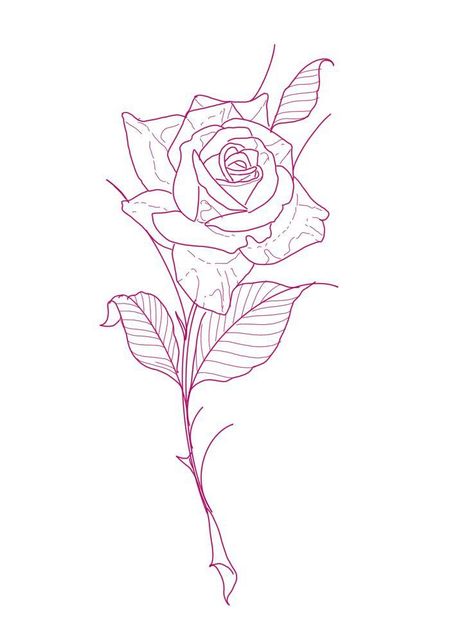 Rose Outline with Thorns1 Line art drawing of a single rose with detailed petals and leaves, elegant floral sketch design in pink outline. | Sky Rye Design Rose Fine Line Tattoo, Rose Drawing Ideas, Valentines Flash, Rose Stem Tattoo, Dragon Tattoo Drawing, Rose Tattoo Stencil, 16 Tattoo, Rose Outline, Line Tattoo Ideas