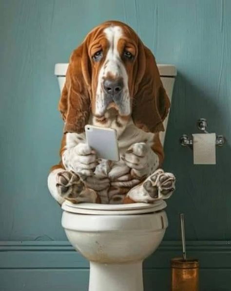 Funny Dog Poses, Basset Hound Funny, Basset Dog, Basset Hound Beagle, Bulldog Pics, Hound Puppies, Pet Spa, Basset Hound Dog